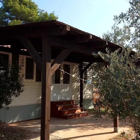 Apartman Olive House