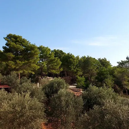 Olive House Apartman